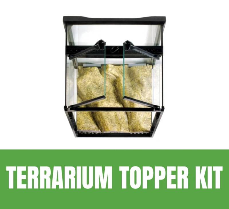 joshsfrogs.jpeg joshsfrogs.jpeg