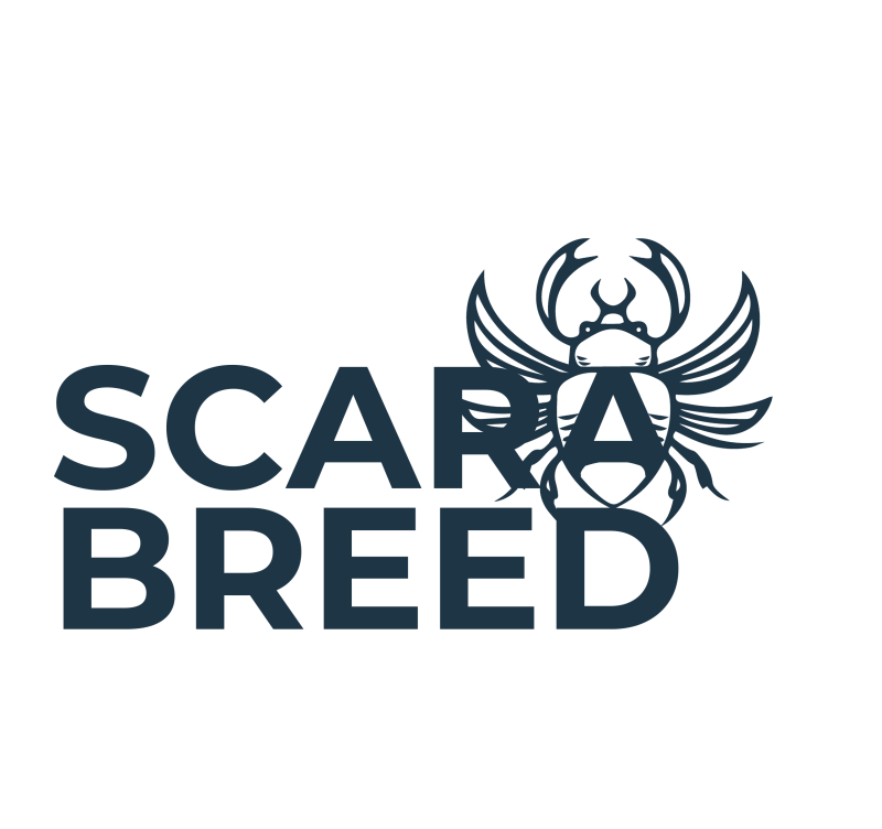 logo_sb_text.png logo_sb_text.png