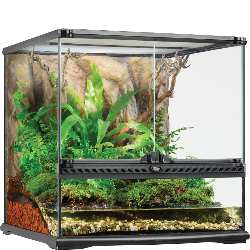 exoterra.png exoterra.png